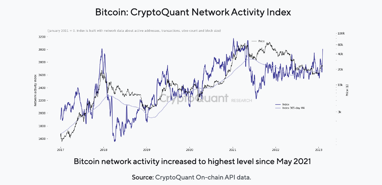 Bitcoin Network Activity